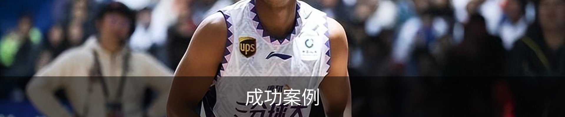 成功案例